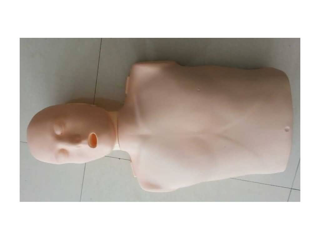 SG/CPR100A簡易電子版半身心肺復(fù)蘇模擬人（帶頻率檢測器）